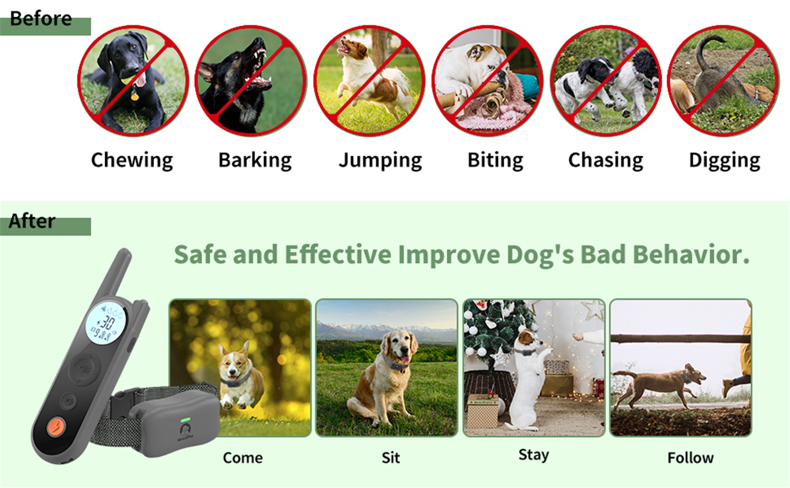 Quantos cães uma coleira de treinamento de cães pode controlar01 (2)