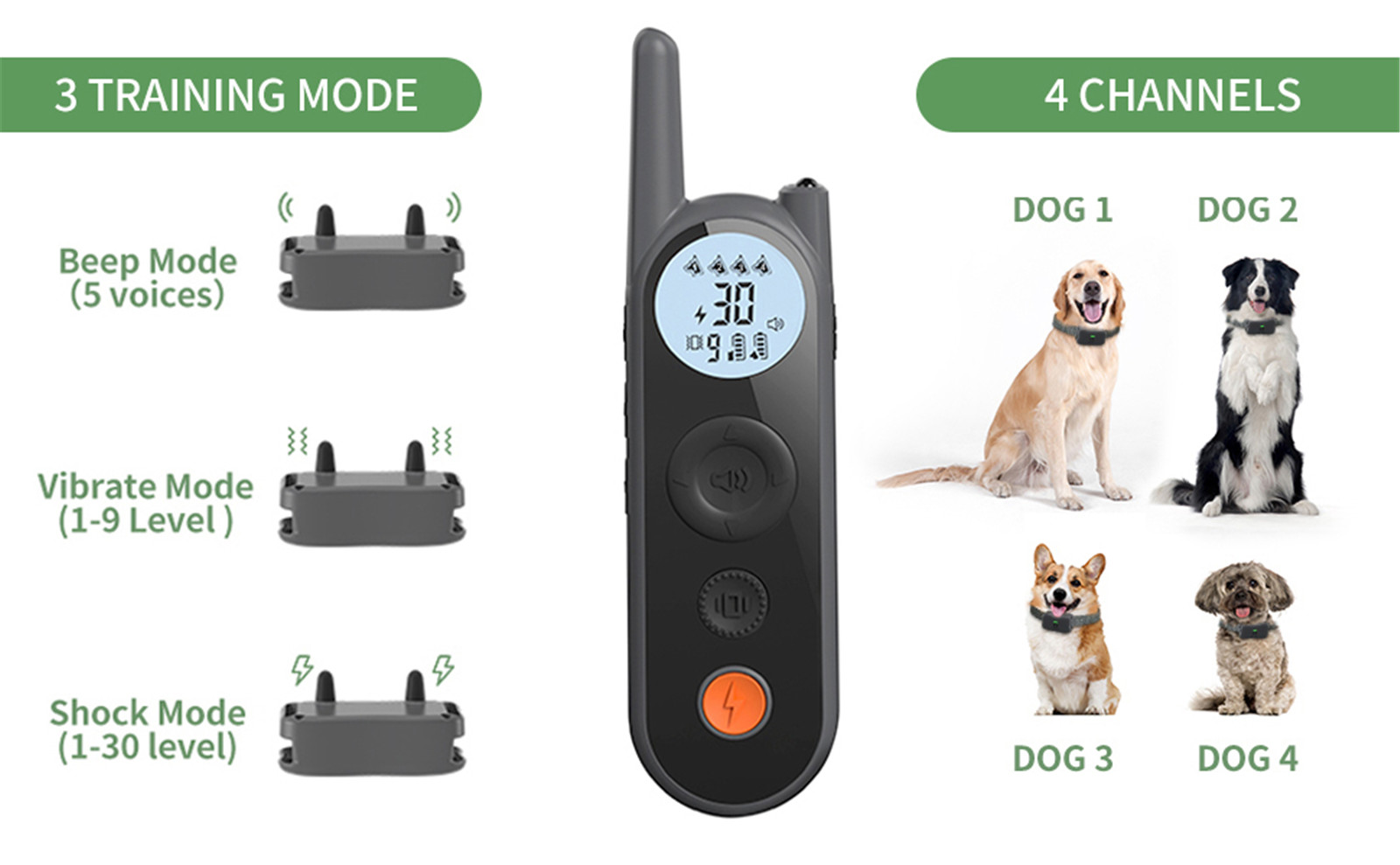 Hoeveel honden kan een hondentrainingshalsband control01