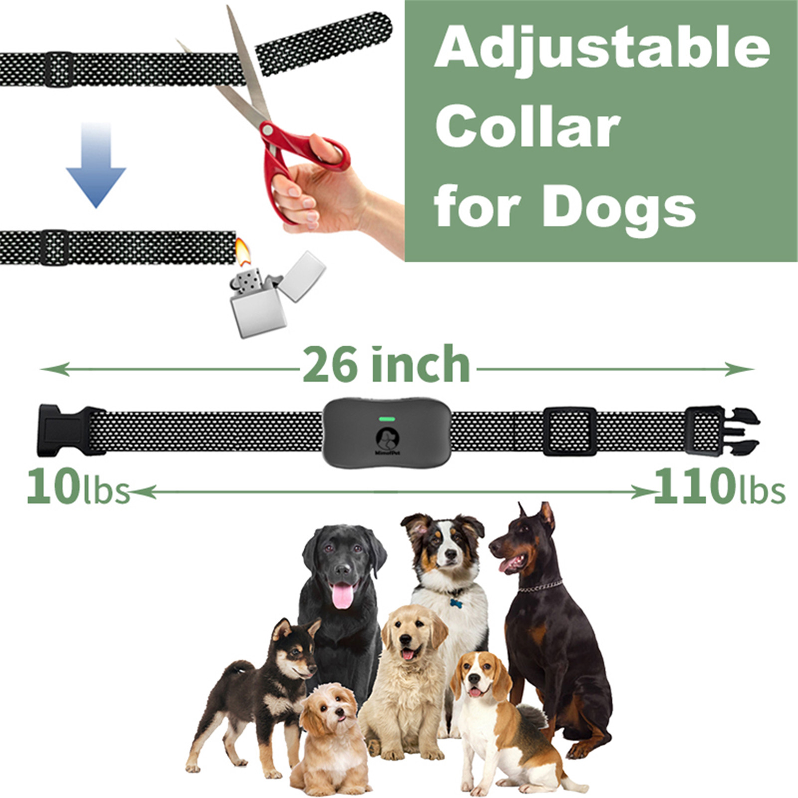 Aféierung iwwer Mimofpet X1 Model Dog Training Collar 01 (12)