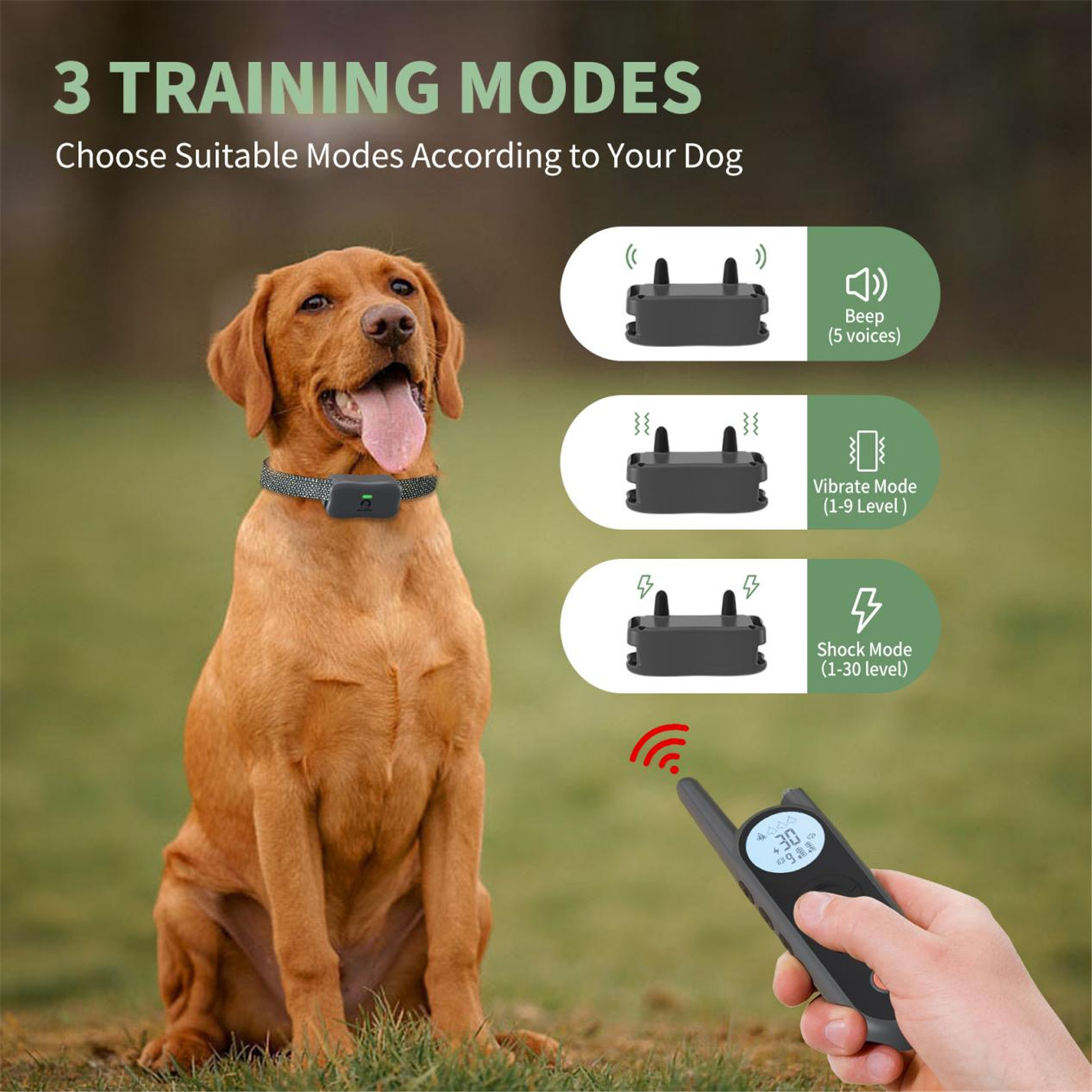 Introdução sobre a coleira de treinamento para cães modelo Mimofpet X1 01 (9)