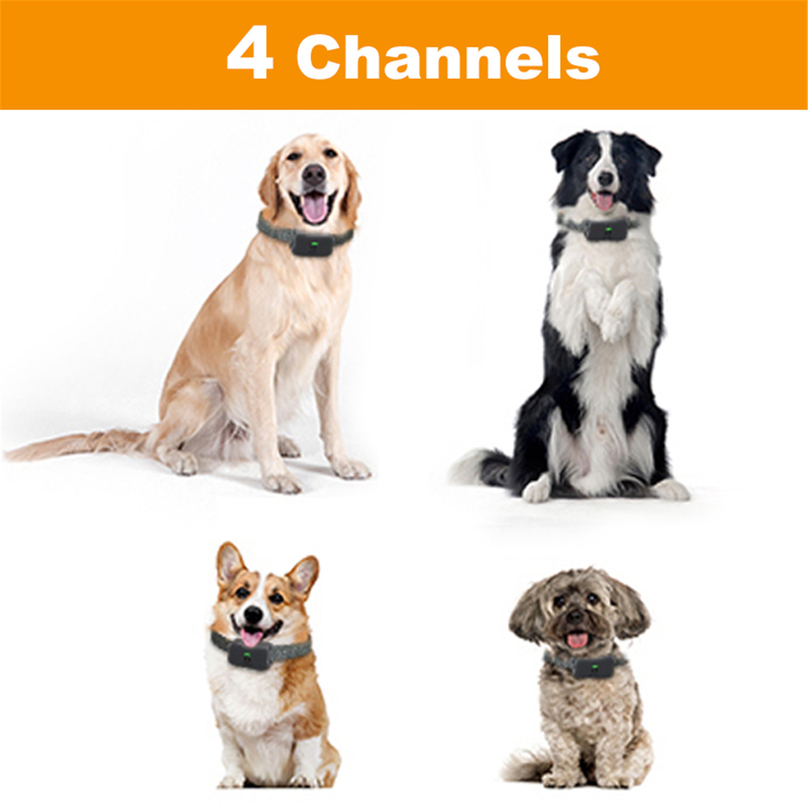 Introduction sur le collier de dressage pour chien modèle Mimofpet X201 (4)