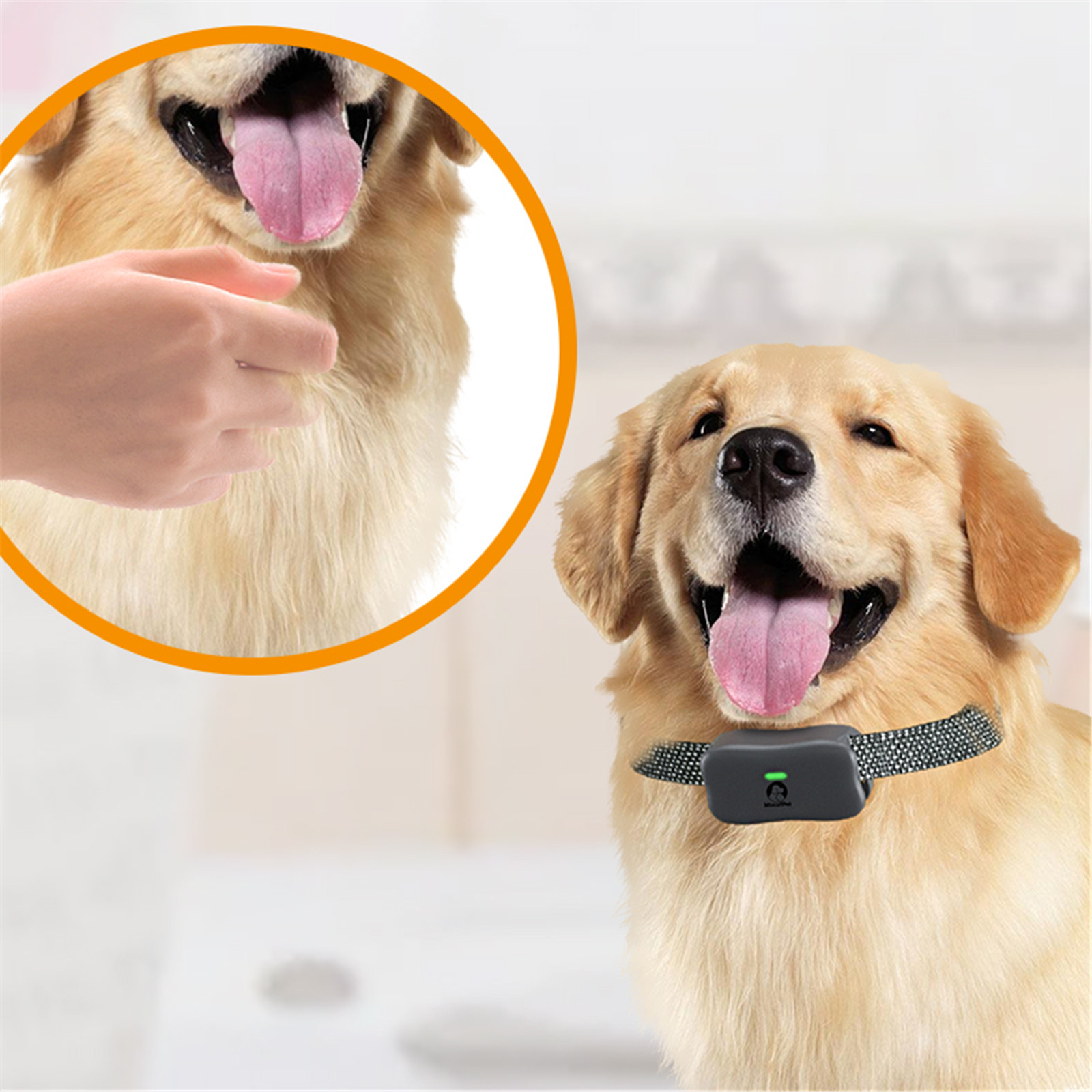 הקדמה וועגן Mimofpet X2 Model Dog Training Collar01 (9)