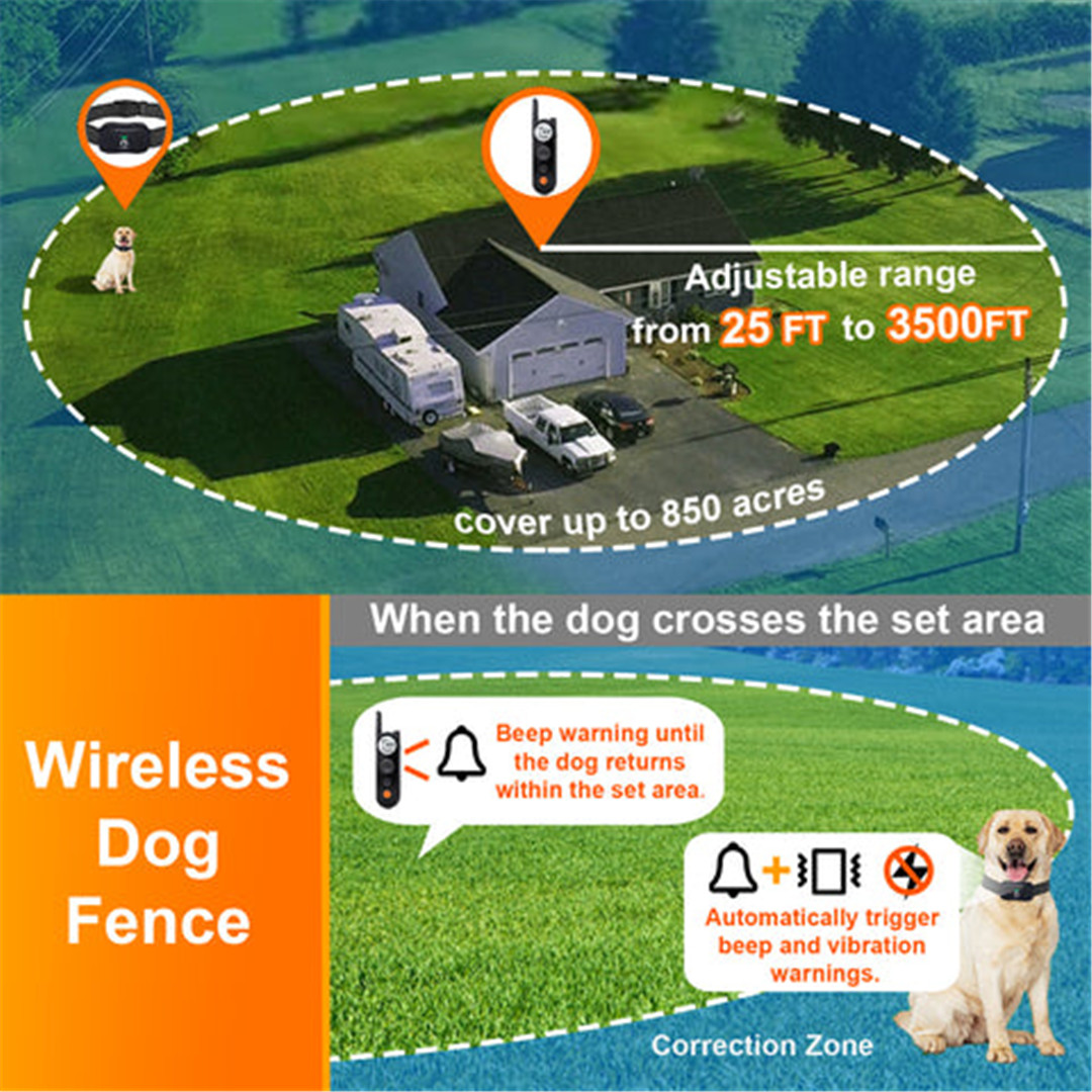 Какво е безжична ограда за кучета (2)