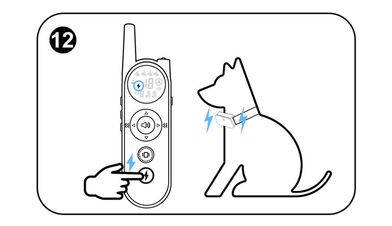 How to use Mimofpet dog training collarwireless dog fence of Model X1, X2, X3-01 (8)