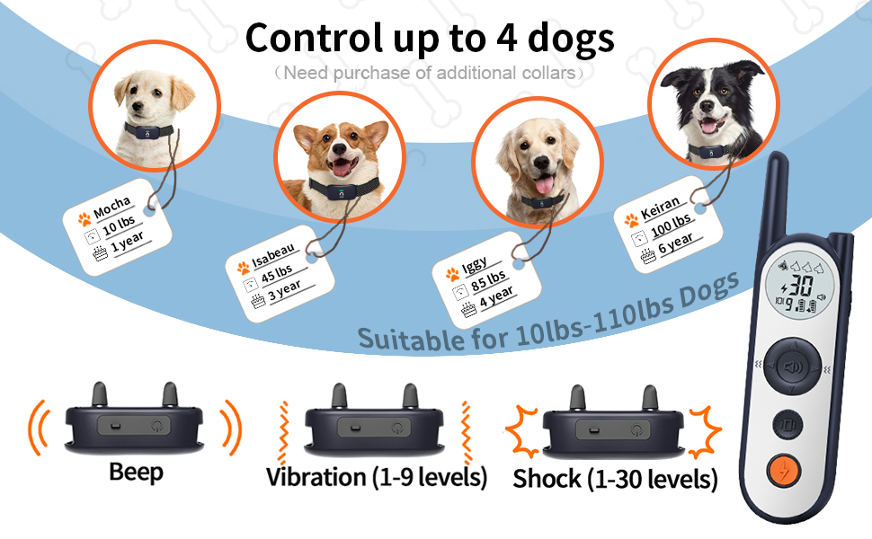 e collar dog shock collar with remote dog training collar for lager medium dogs